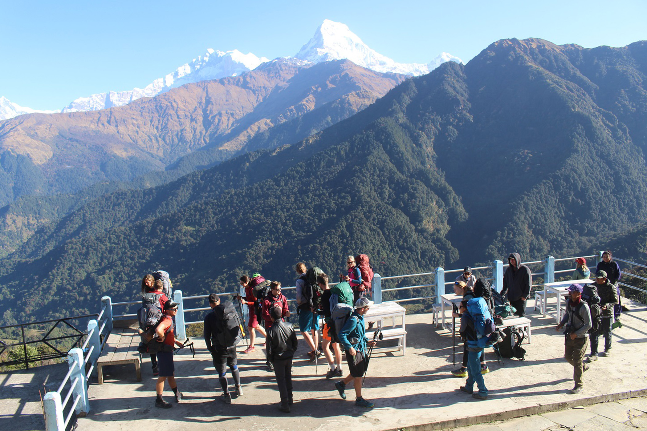 SG_MYagdi-IMG_0270(1)1667735422.jpg